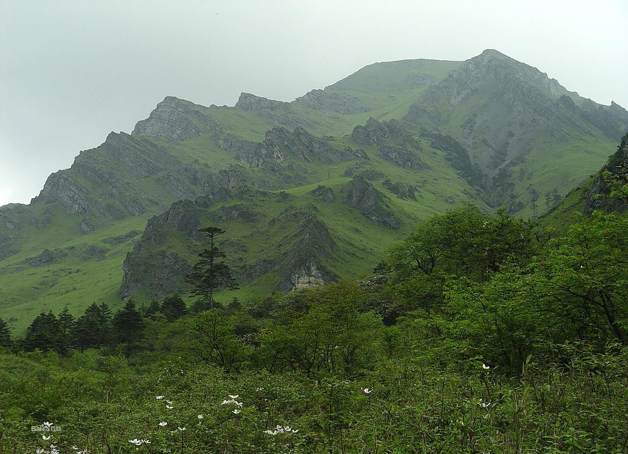 冠山森林公園