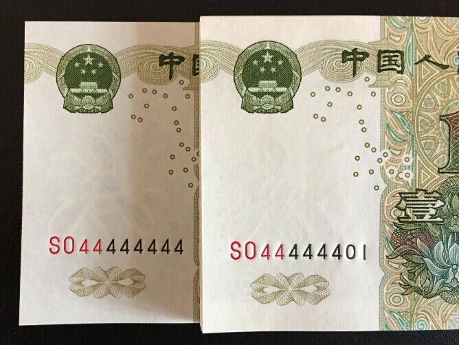 兩冠大葉蘭 八同號SO44444444百連