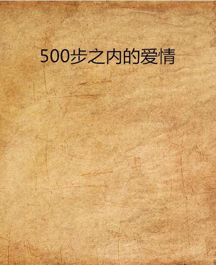 500步之內的愛情