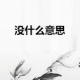 沒什麼意思(一盞靈感所著小說)