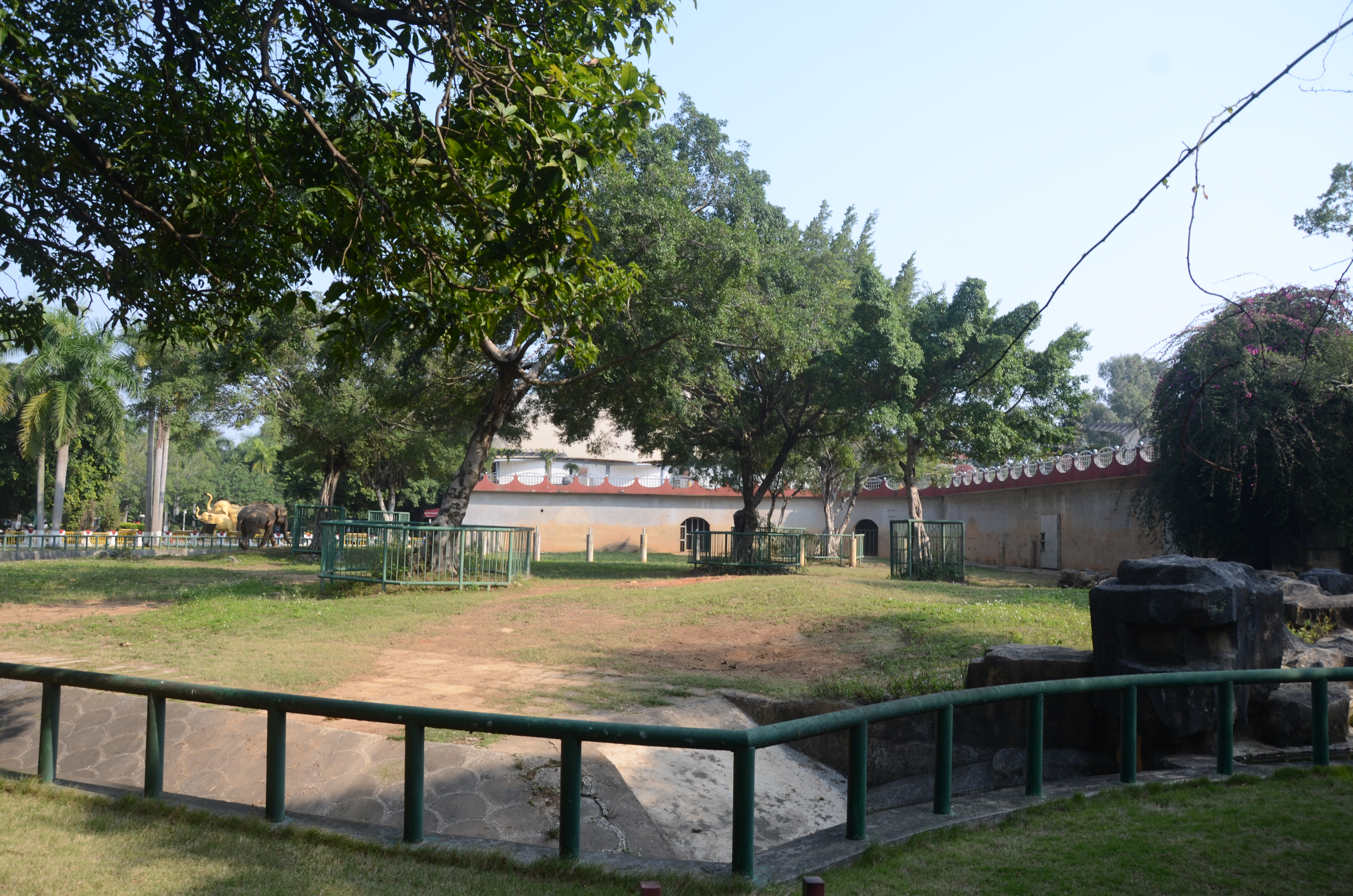 南寧動物園(南寧市動物園)