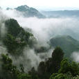 大瑤山國家森林公園