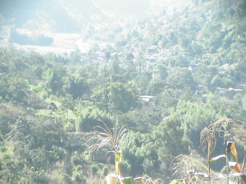 團山自然村(雲南昭通鎮雄縣母享鎮坪橋村委會團山自然村)