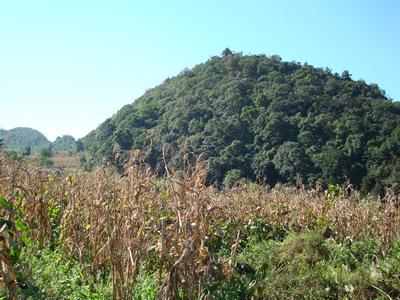 太陽沖村