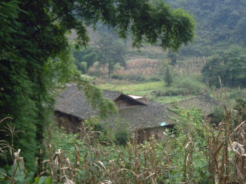 騎龍自然村(羅坎鎮泡瓜村委會下轄自然村)