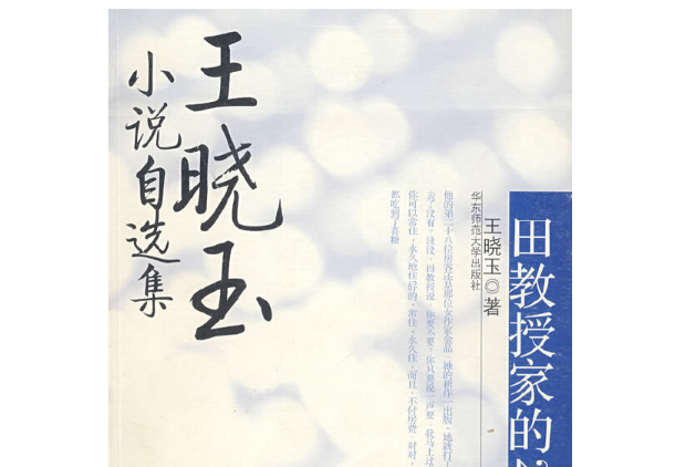 王曉玉小說自選集·田教授家的28個×××