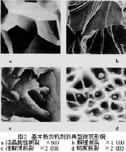 斷口分析(三)