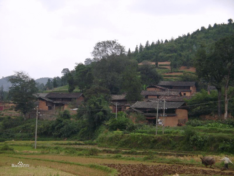 老寨自然村(雲南省文山州麻栗坡縣鐵廠鄉老寨自然村)