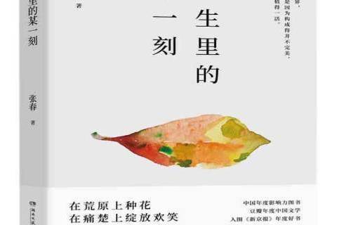 一生里的某一刻(2020年湖南文藝出版社出版的圖書)