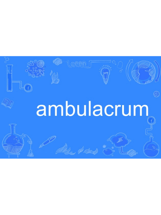 ambulacrum