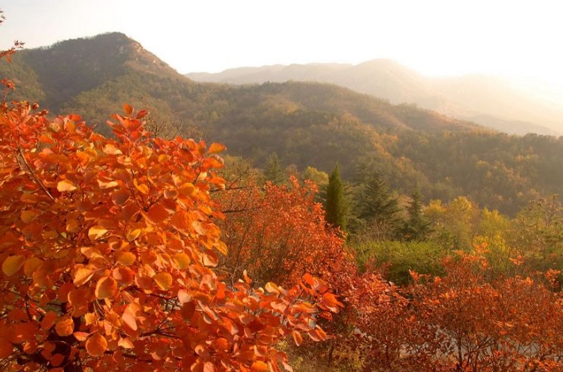 山東魯山國家森林公園