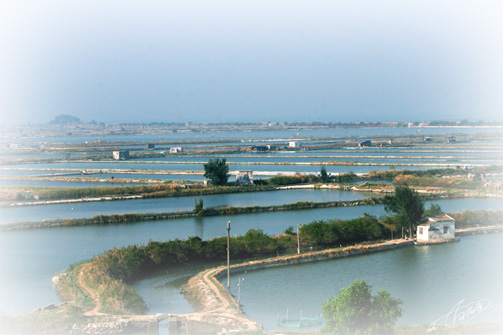 當地蝦、蟹養殖場