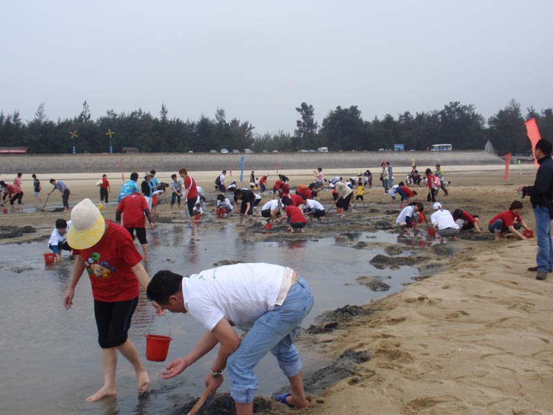 北海金海灣紅樹林