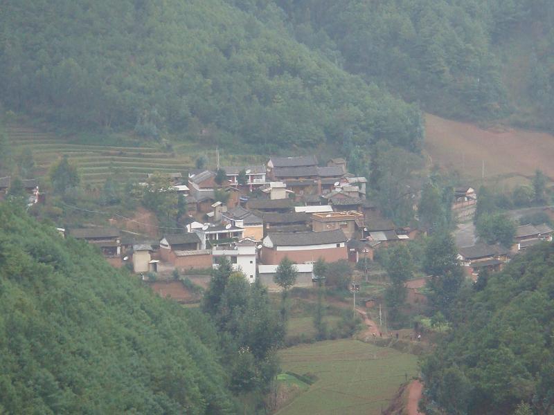 中哨村(雲南省大理州大理市鳳儀鎮下轄村)