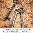 Cacao Planting in Ceylon