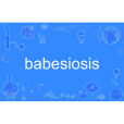 babesiosis