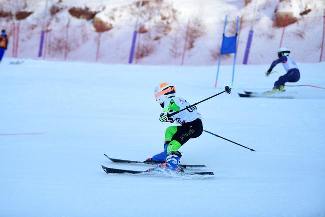 高山滑雪平行項目團體爭霸賽