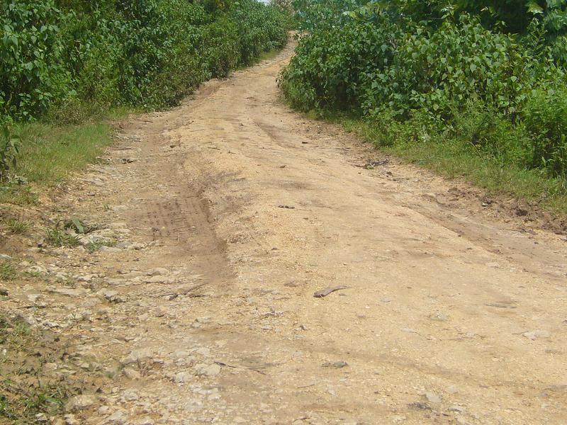 大山後自然村通村道路