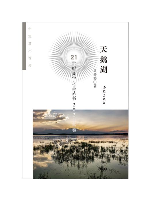 天鵝湖(2023年作家出版社出版的圖書)