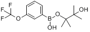 3-（三氟甲氧基）苯硼酸頻哪醇酯