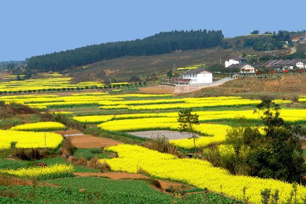 黃梅縣袁山村