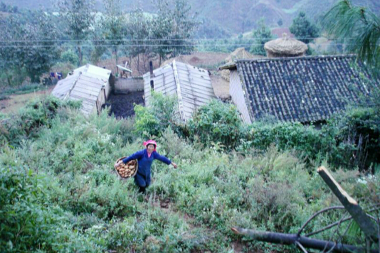 西北溝村