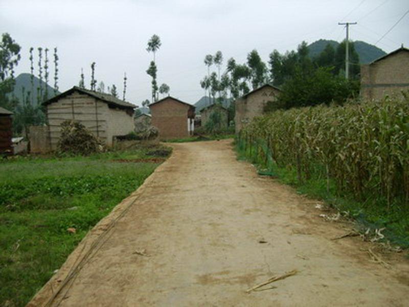 樹木架革村