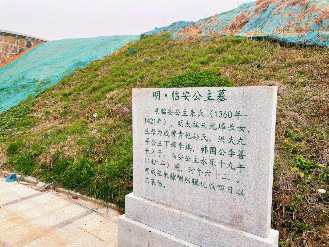 雨核