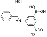 3-（苄基氨基）-5-硝基苯基硼酸鹽酸鹽