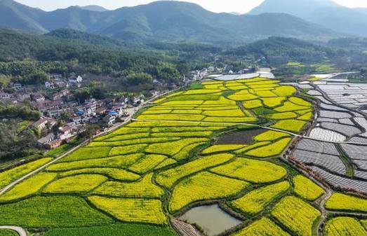 祁梅村