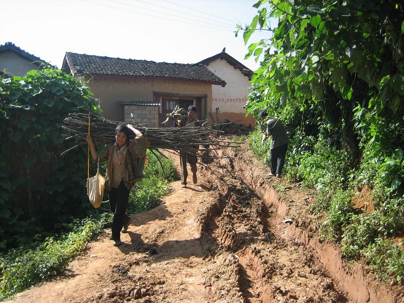 龍塘寨自然村村內道路