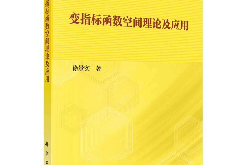 變指標函式空間理論及套用