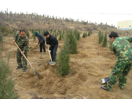 史村村(山西省澤州縣下村鎮下轄村)