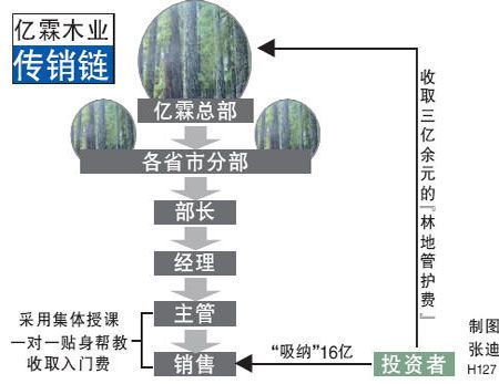 億霖木業