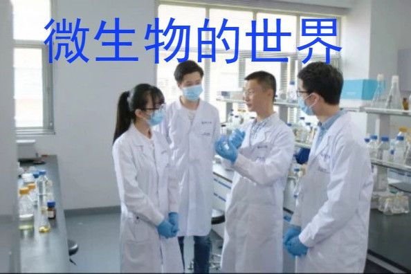 微生物的世界(上海交通大學建設的慕課)