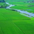 永久基本農田(基本農田)