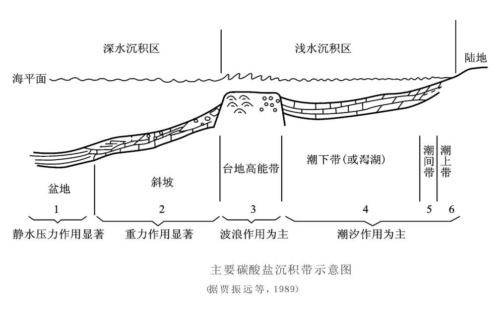 碳酸鹽岩沉積體系