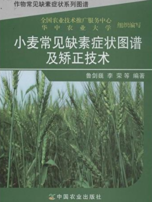 小麥常見缺素症狀圖譜及矯正技術（作物常見缺素症狀系列圖譜）