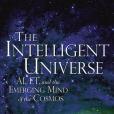 The Intelligent Universe