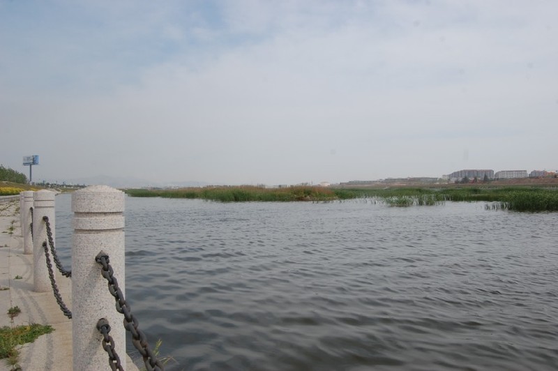 白沙河(青島河流)