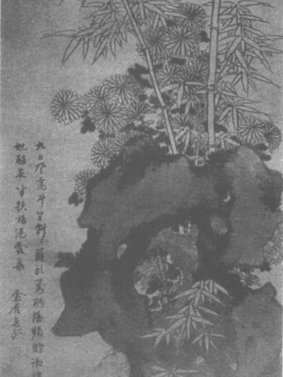 菊石文篁圖