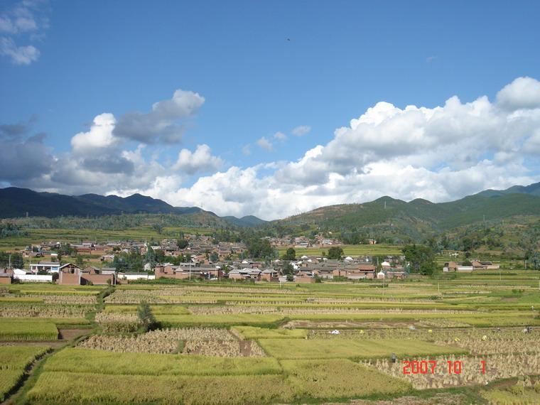 沈家莊村(雲南省巍山縣大倉鎮沈家莊村)