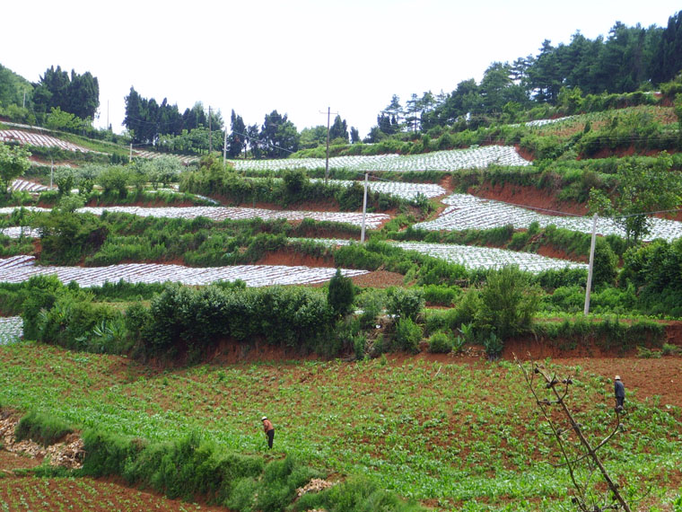 大黑山村