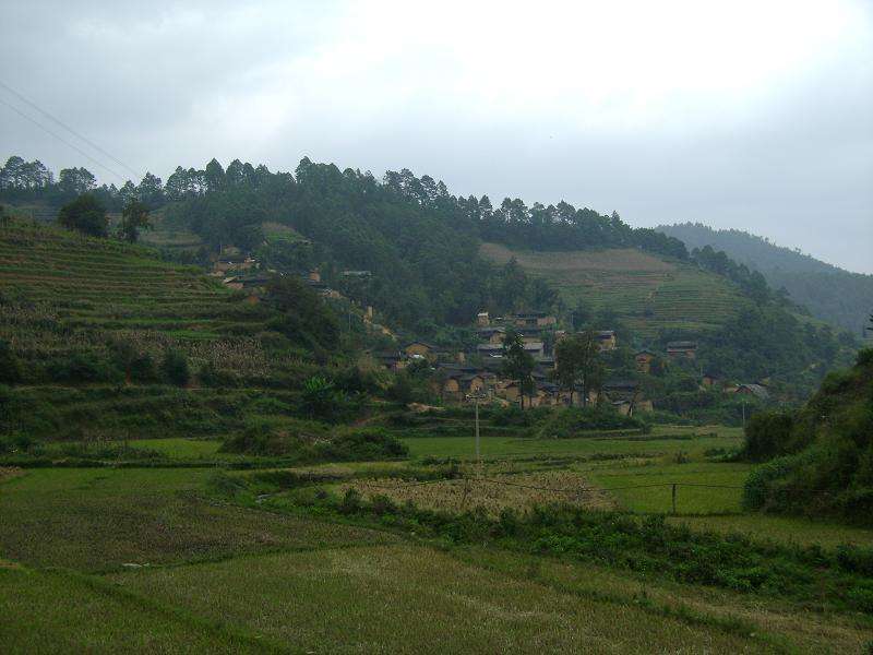 田壩自然村(雲南丘北縣雙龍營鎮下轄村)