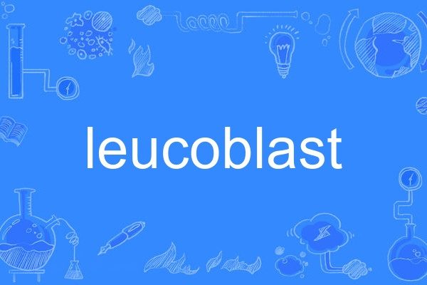 leucoblast