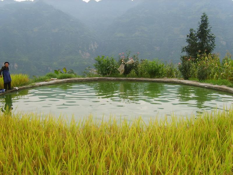 姜坪子自然村抗旱池