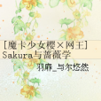 [魔卡少女櫻×網王]Sakura與薔薇學院