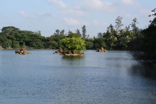 蛟塘村(海南文昌市東路鎮蛟塘村)