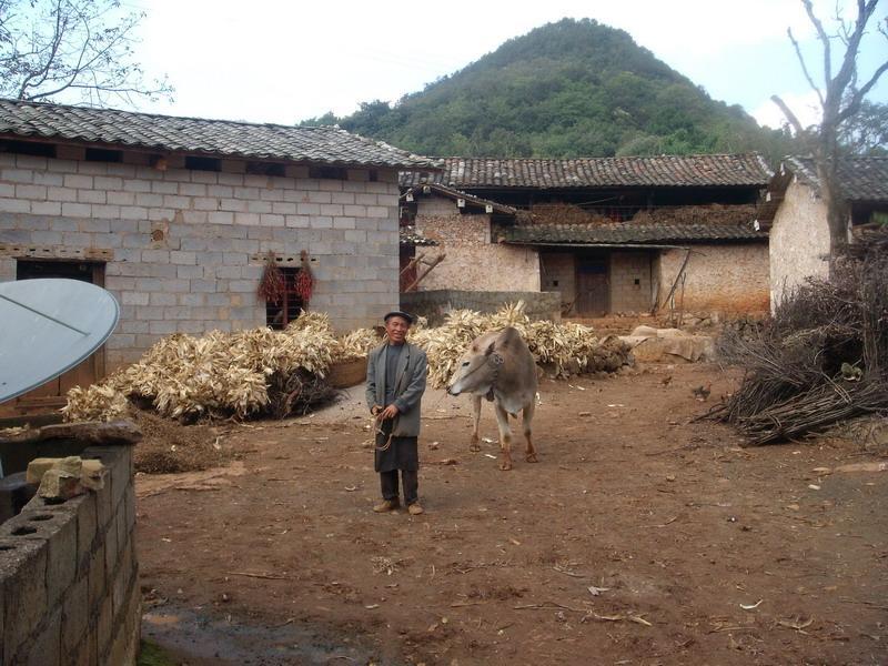 上洋洞村