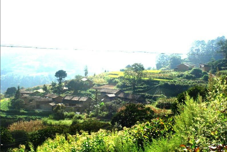 龍老村(雲南省文山州硯山縣蚌峨鄉龍老村)